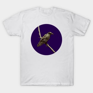 Raven in moonlight T-Shirt